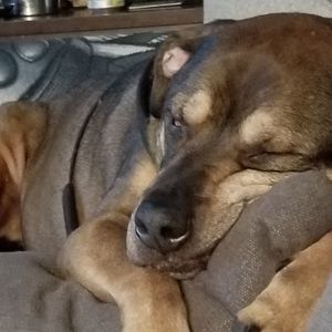 Meet your Posher, Andy